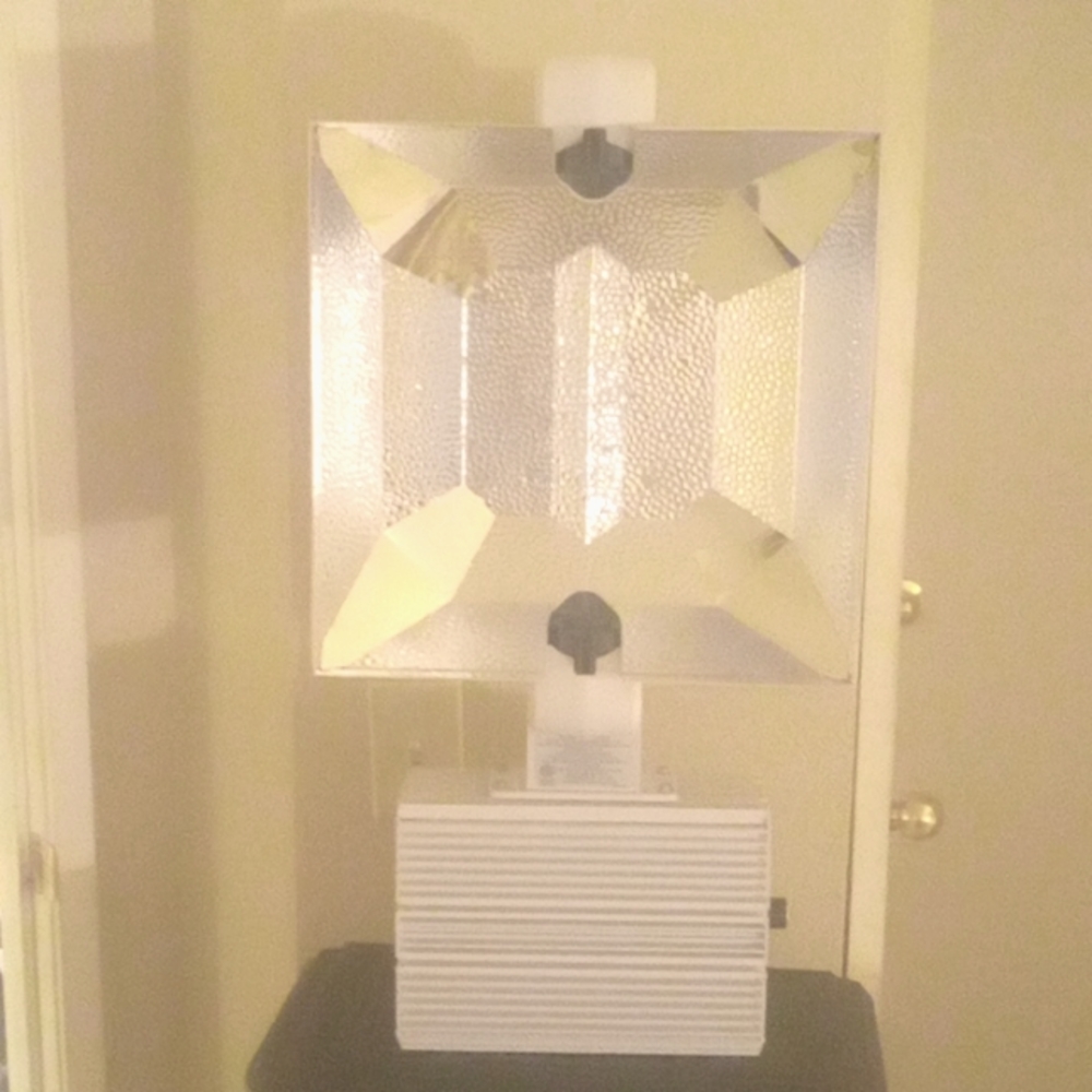 Luxury Lighting DE 1000 Hps Lamp